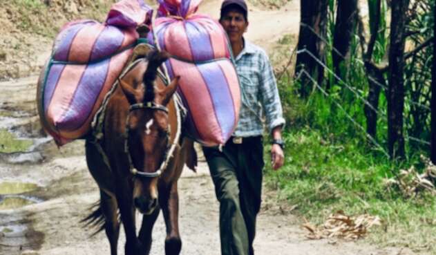 Caficultores Tierradentro