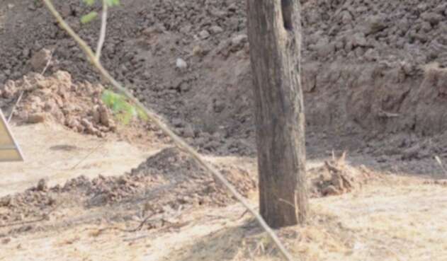 Encontrar al leopardo Encontrar al leopardo