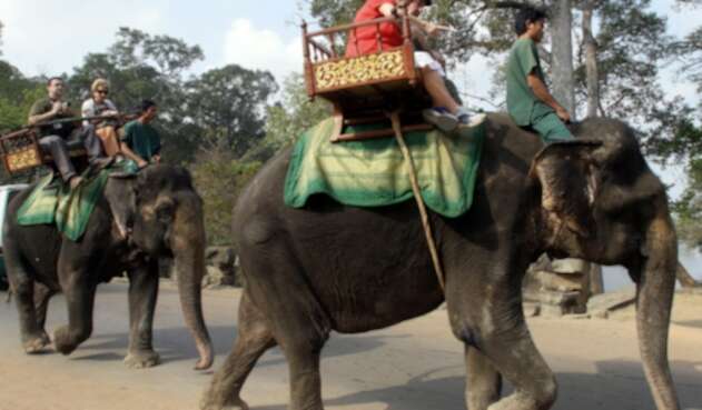 Camboya