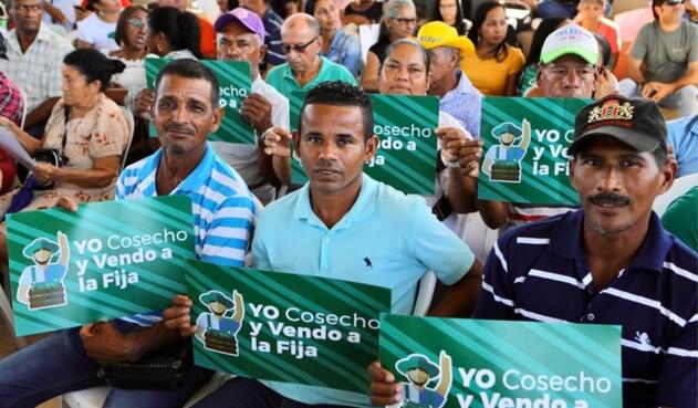 Cosecho y vendo a la fija