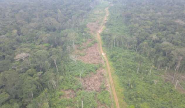 Deforestación Amazonas
