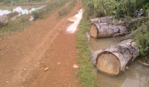 Deforestación en el Amazonas