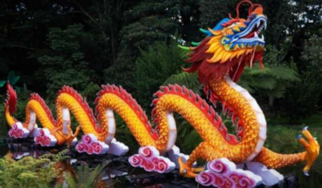 Hasta el 12 de enero el Festival Brilla Colombia rendirá un homenaje a la flora y fauna del país