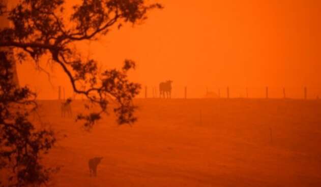 incendios australia