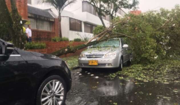 Árbol cayó sobre un carro en Cedritos