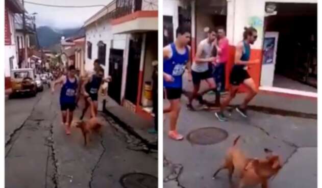 Atleta Jaime Alejandro