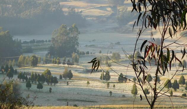 Heladas en Cundinamarca.