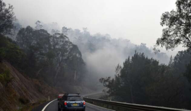 El incendio en Australia ha matado miles de animales.
