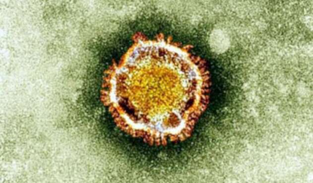 Coronavirus