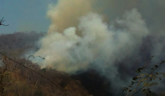 Incendio forestal Incendio forestal