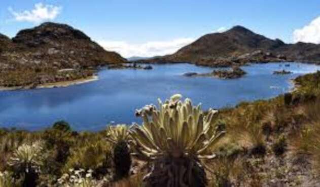 Páramo de Santurbán