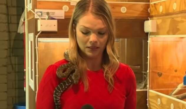 Periodista asustada con serpiente