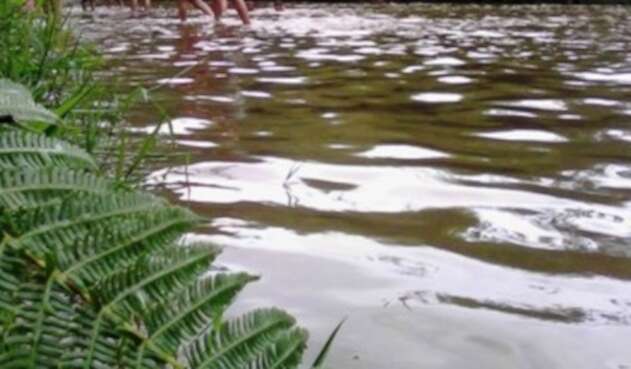 CVC canceló licencia que permitía explotación de materiales de arrastre en río Pance