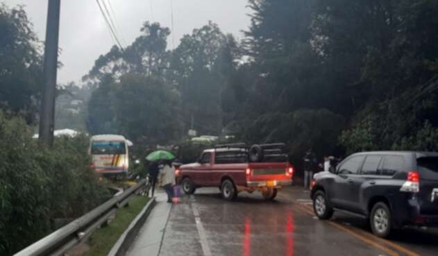 Caída de un árbol en La Calera