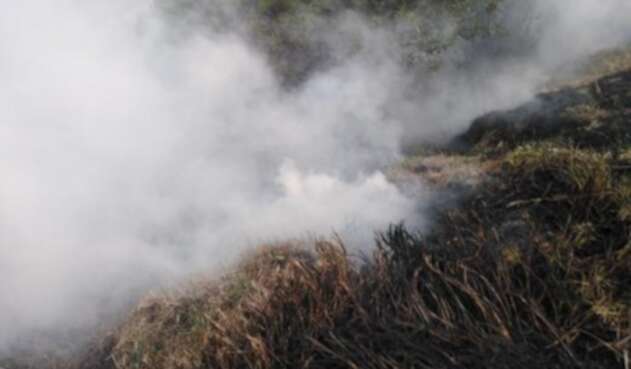 Incendio Forestal