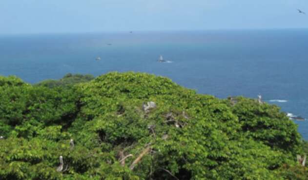 Parque Nacional Natural Gorgona