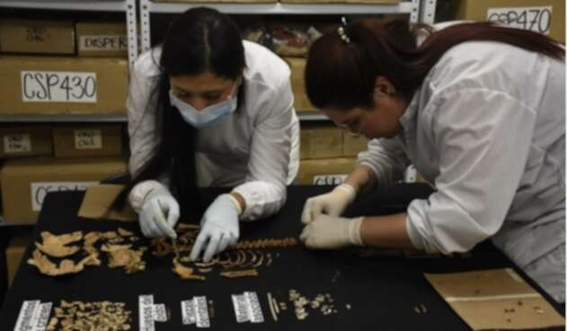 Laboratorio de Osteología de la Universidad de Antioquia.