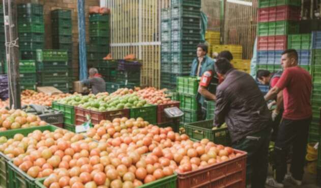 Alimentos
