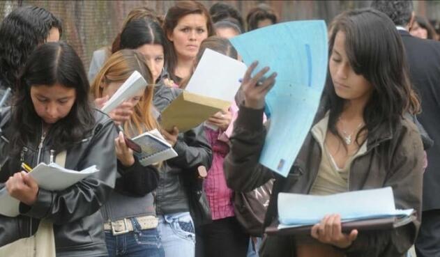 En 2019 el departamento del Tolima se ubicó primero en desempleo de mujeres con 20,3%, por encima de Chocó con 19,8% y Cesar con 19,6%