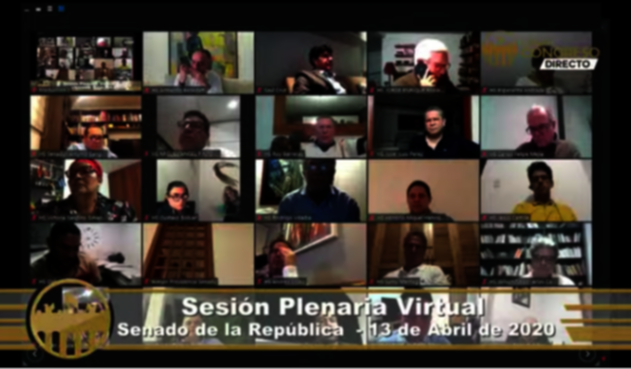 Sesión virtual Congreso