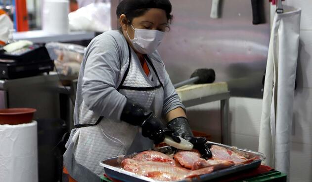 Pescado: ¿El protagonistas en las mesas por Semana Santa?