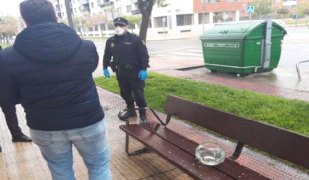 Lo multaron por salir a pasear con sus peces