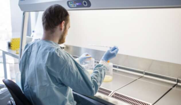 Ensayo de vacuna contra coronavirus