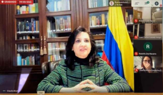 Canciller, Claudia Blum en sesión virtual con el Congreso de la República.