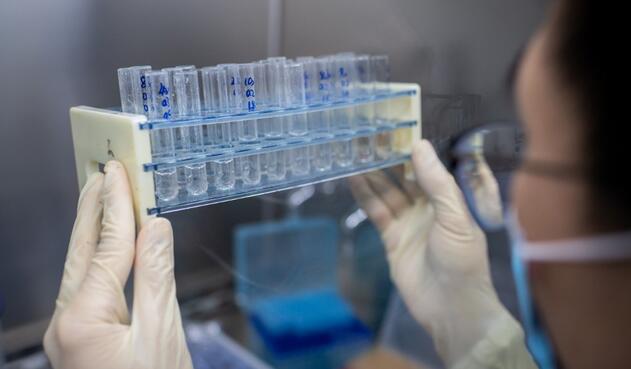 Vacuna contra coronavirus