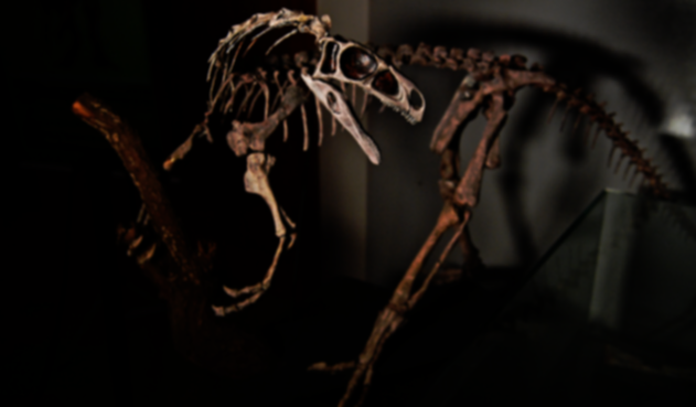 Dinosaurio
