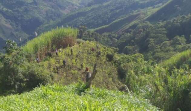 Erradicación de cultivos ilícitos en Campamento, Antioquia.