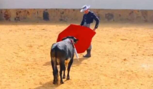 CORRIDAS DE TOROS