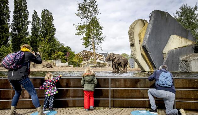 Coronavirus en Países Bajos / Zoológico en Amsterdam