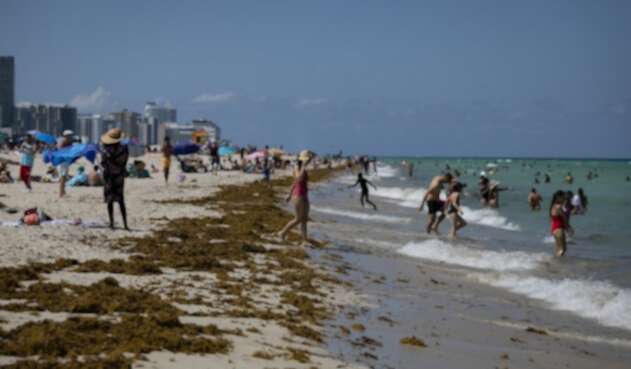 Playa de Miami