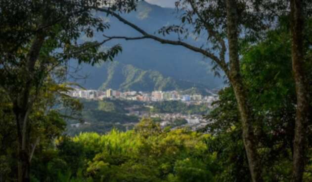 Con panel virtual Alcaldía conmemora el Día Mundial del Ambiente