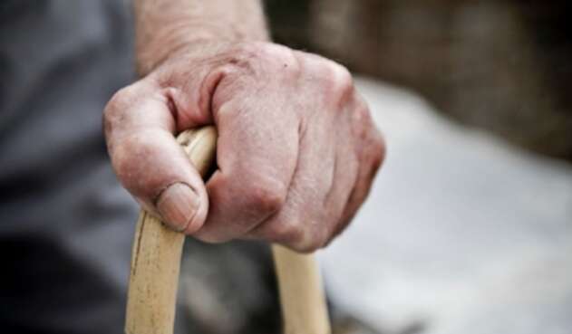 Anciano / Abuelo