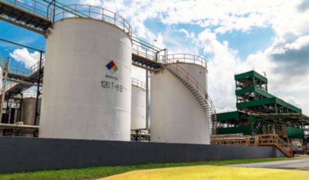 Imagen empresa Ecodiesel Colombia S.A Imagen empresa Ecodiesel Colombia S.A