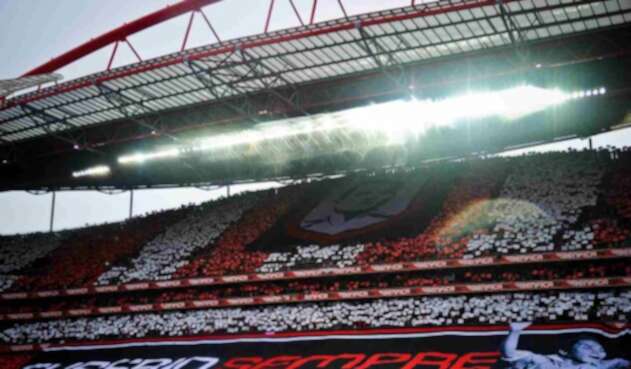 Estadio Da Luz - Lisboa