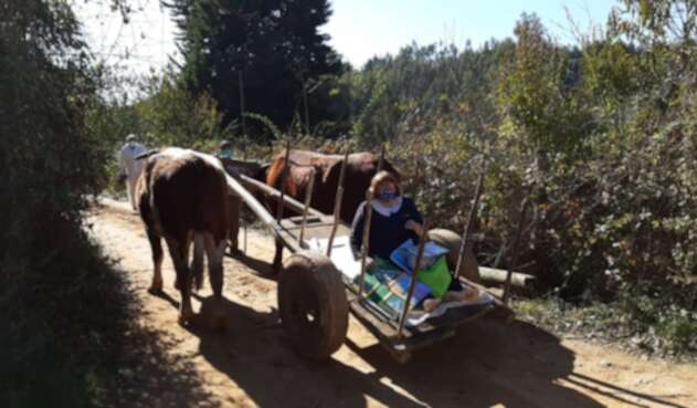 Profesora, en una carreta, entrega material educativo a niños sin acceso a internet
