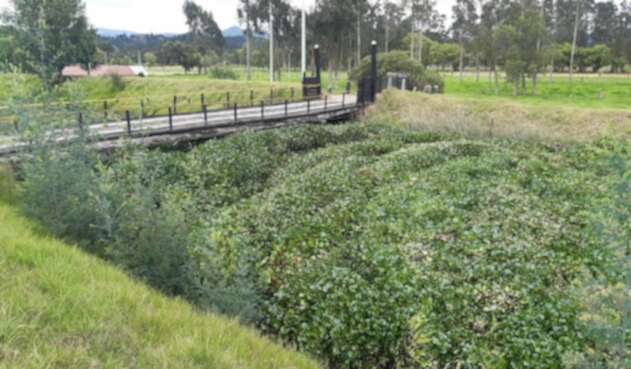 Río Ubaté, municipio de Fúquene