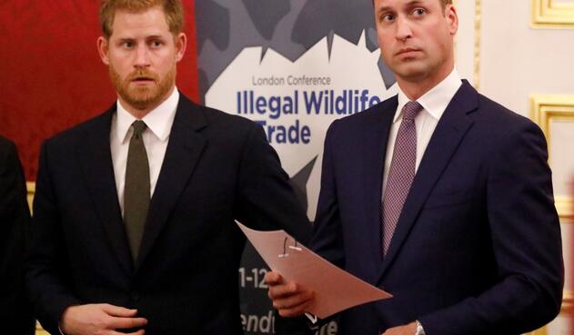 William y Harry