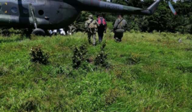 Familia de desmovilizados de las Farc en Norte de Santander Familia de desmovilizados de las Farc en Norte de Santander