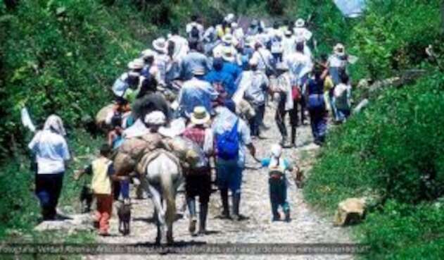 Desplazamiento de familias campesinas en Norte de Santander