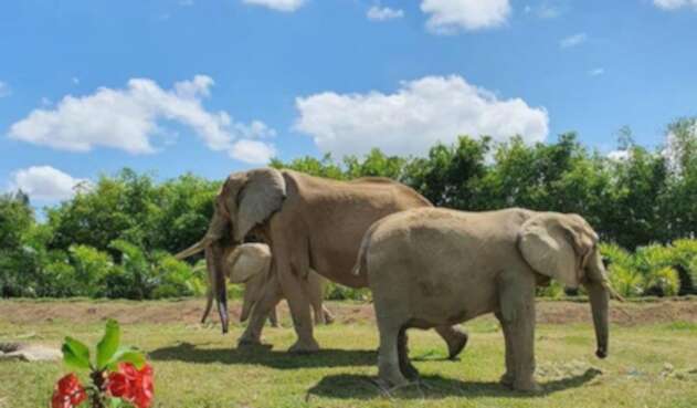 Bioparque Ukumarí
