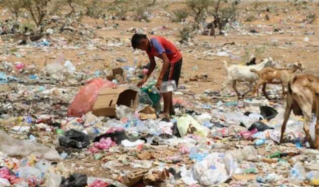 Niño indígena buscando alimentos entre la basura.