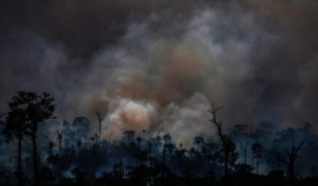 Incendios en la Amazonía brasileña