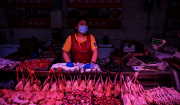 Pollos China