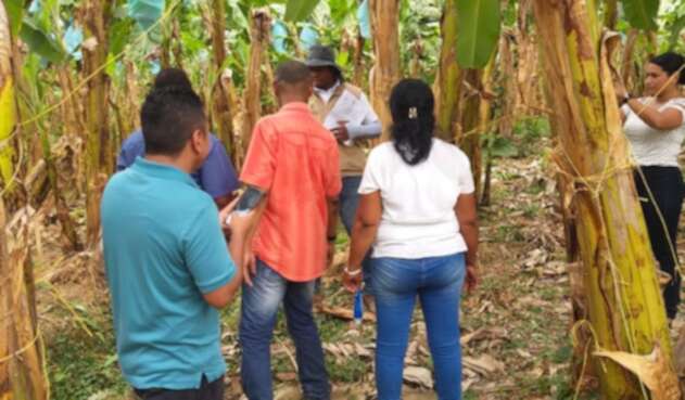 Referencia restitución de tierras en el Urabá antioqueño.