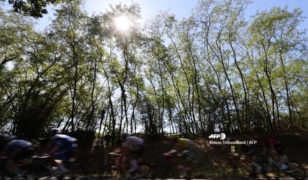 Tour de Francia 2020 Tour de Francia 2020