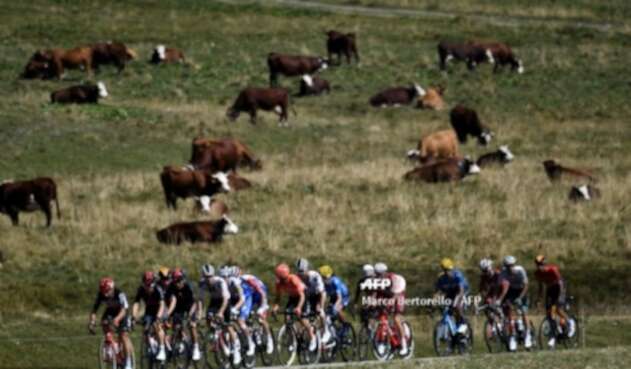 Tour de Francia 2020